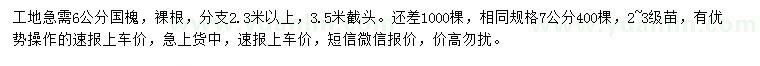 求购6、7公分国槐