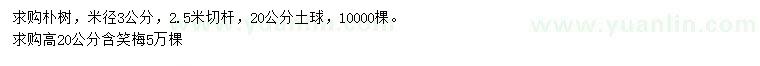 求购米径3公分朴树、高20公分含笑梅