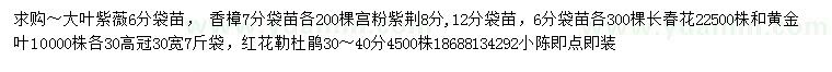 求购大叶紫薇、香樟、宫粉紫荆等