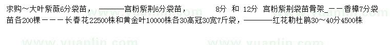 求购大叶紫薇、宫粉紫荆、香樟等