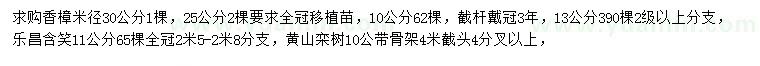 求购香樟、乐昌含笑、黄山栾树