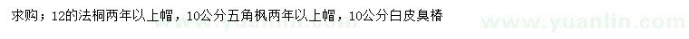 求购法桐、五角枫、白皮臭椿