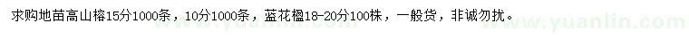 求购10、15公分高山榕、18-20公分蓝花楹