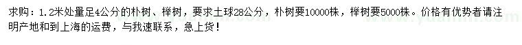 求购1.2米量足4公分朴树、榉树