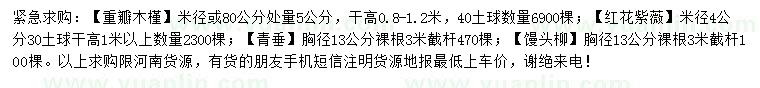 求购重瓣木槿、红花紫薇、青垂等