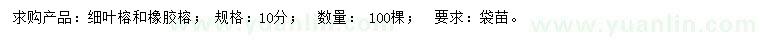 求购10公分细叶榕、橡胶榕