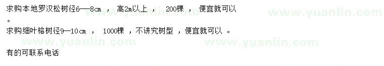 求购6-8公分本地罗汉松、9-10公分细叶榕
