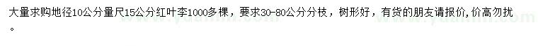 求购地径10公分量尺15公分红叶李