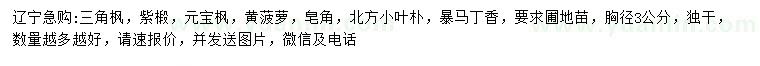 求购三角枫、紫椴、元宝枫等