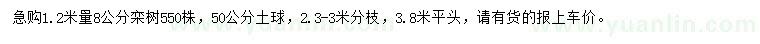 求购1.2米量8公分栾树