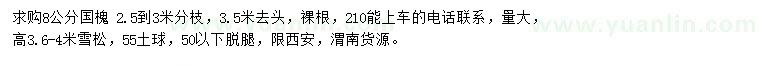 求购8公分国槐、高3.6-4米雪松