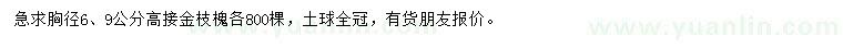 求购胸径6、9公分高接金枝槐