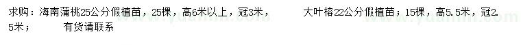 求购25公分海南蒲桃、22公分大叶榕