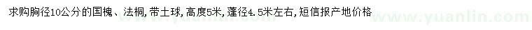 求购胸径10公分国槐、法桐