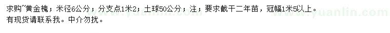 求购米径6公分黄金槐