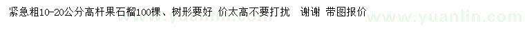 求购10-20公分高杆果石榴