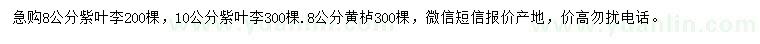 求购8、10公分紫叶李、8公分黄栌