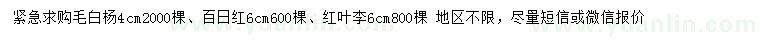 求购毛白杨、百日红、红叶李