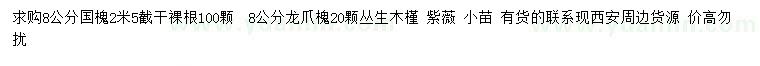 求购国槐、龙爪槐、丛生木槿等