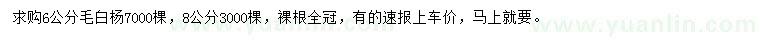 求购6、8公分毛白杨