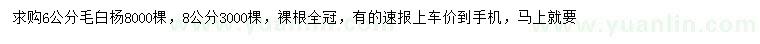 求购6、8公分毛白杨