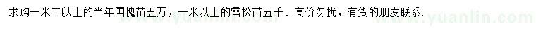 求购1.2米以上国槐、1米以上雪松