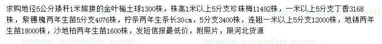 求购金叶榆、珍珠梅、丁香等