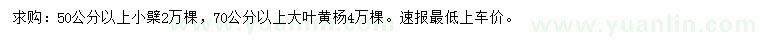 求购50公分以上小檗、70公分以上大叶黄杨