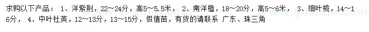 求购洋紫荆、南洋楹、细叶榄仁等