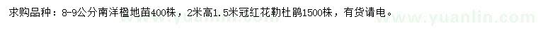 求购8-9公分南洋楹、高2米红花勒杜鹃