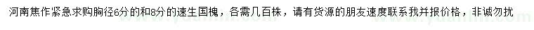 求购胸径6、8公分速生国槐