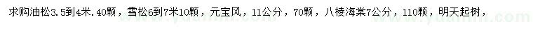 求购油松、雪松、元宝枫