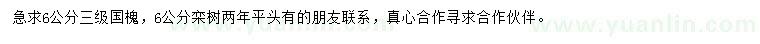 求购6公分国槐、栾树