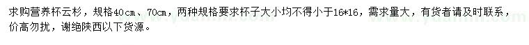 求购40、70公分云杉