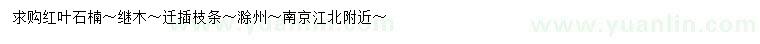 求购红叶石楠、继木