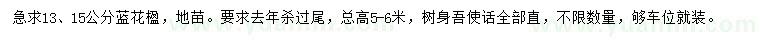 求购13、15公分蓝花楹