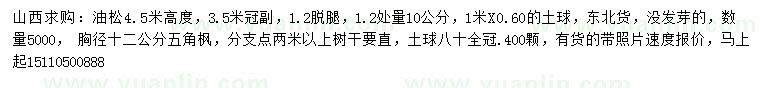 求购高4.5米油松、胸径12公分五角枫