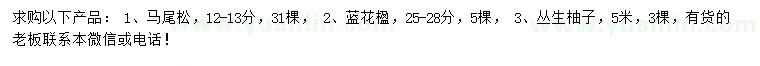 求购马尾松、蓝花楹、丛生柚子树等