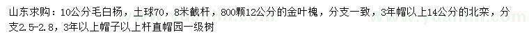 求购毛白杨、金叶槐、北栾等