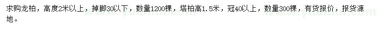 求购高2米以上龙柏、1.5米塔柏