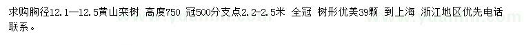 求购胸径12.1-12.5公分黄山栾树