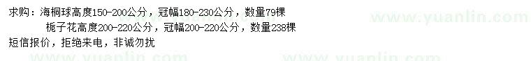 求购高150-200公分海桐球、200-220公分栀子花