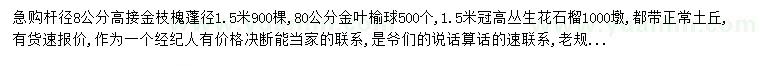 求购高接金枝槐、金叶榆、丛生花石榴等