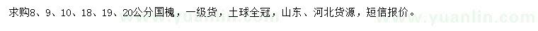 求购8、9、10、18、19、20公分国槐