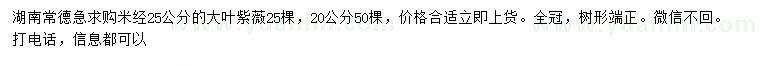 求购米径20、25公分大叶紫薇