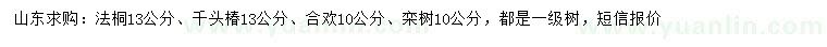 求购法桐、千头椿、合欢等