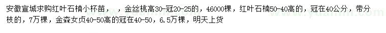 求购红叶石楠、金丝桃、金森女贞