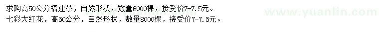 求购高50公分福建茶、七彩大红花