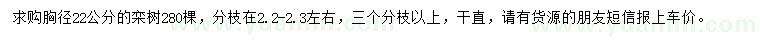 求购胸径22公分栾树