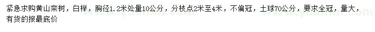 求购1.2米量10公分黄山栾树、白榉